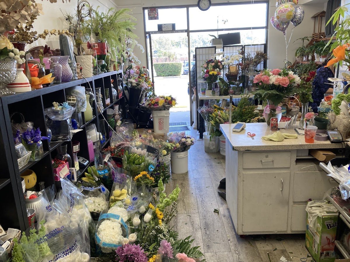 Inside the shop: fresh flower buckets, vases, plants and the design counter